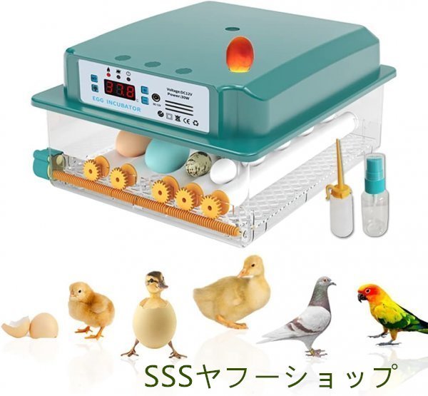  automatic . egg vessel in kyu Beta -. temperature vessel birds exclusive use . egg vessel .. vessel automatic rotation egg type a Hill chicken egg a Hill .... temperature .. vessel full automation 6-16 piece. egg 
