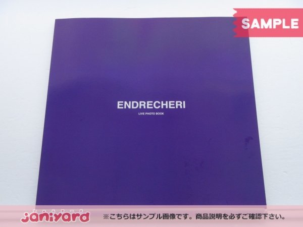 KinKi Kids 堂本剛 写真集 ENDRECHERI 20th SPECIAL ITEMs LIVE PHOTO BOOK ライブフォトブック [難小]_画像1