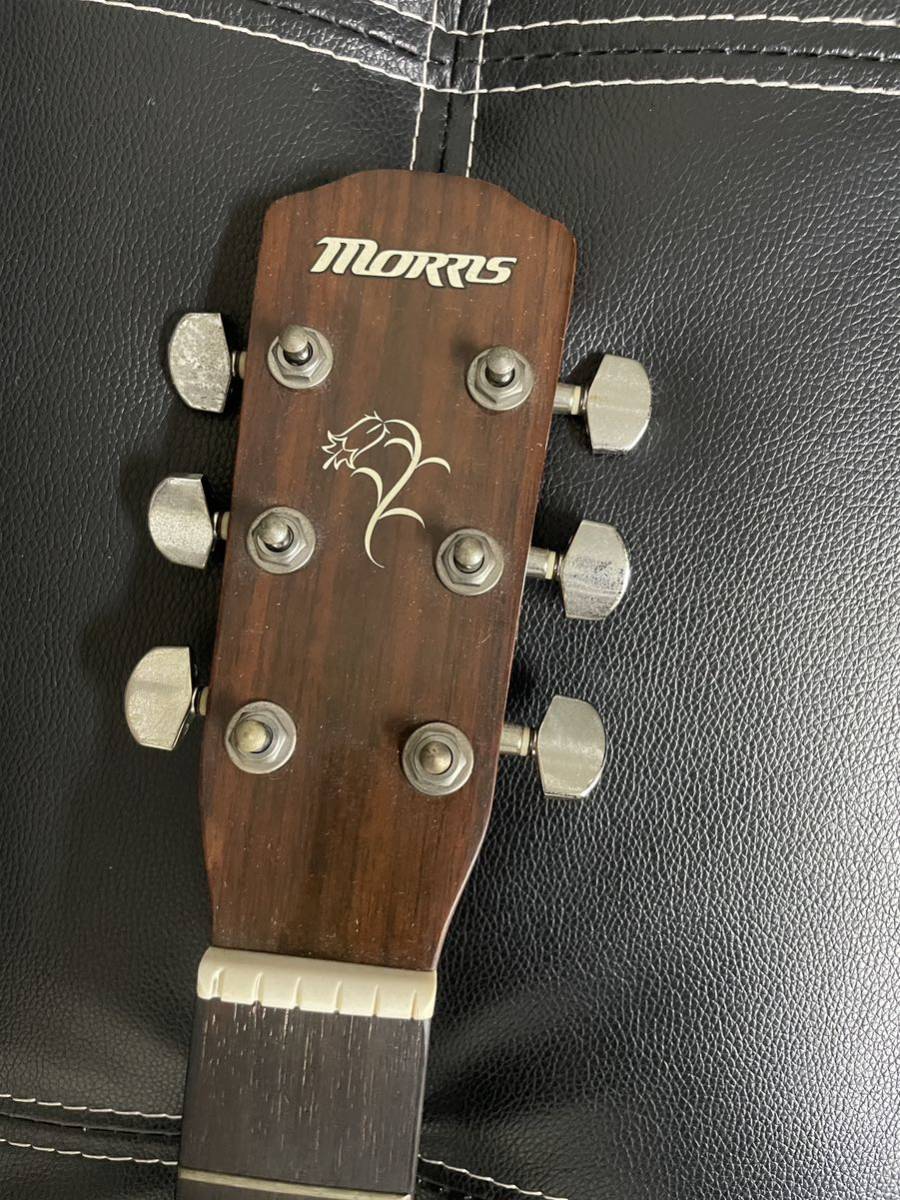 Morris F01ⅡTS アコースティックギター モーリス_画像3
