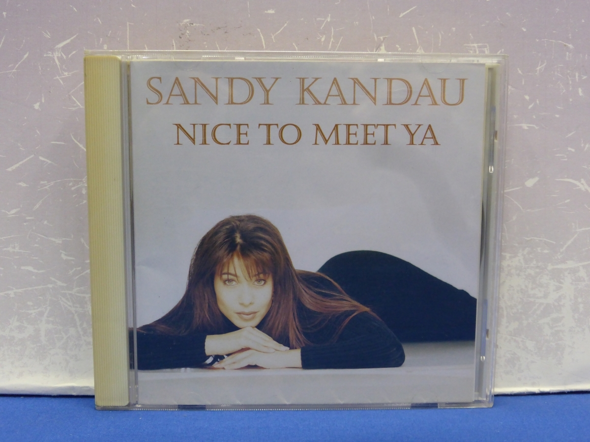 C12　SANDY KANDAU/NICE TO MEET YA サンディ・カンドゥ/ナイス・トゥ・ミート・ヤ! 見本盤 CD_画像1