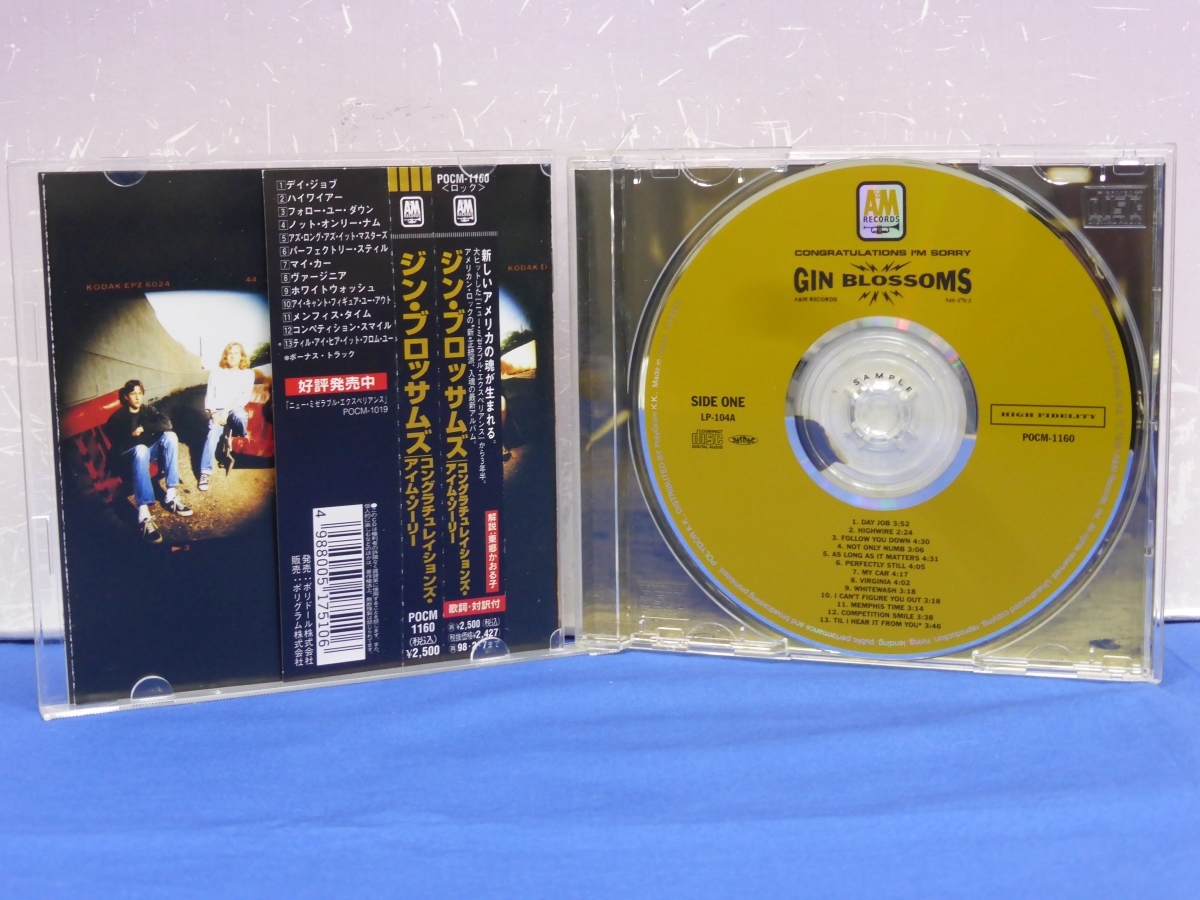 C12　ジン・ブロッサムズ / コングラチュレイションズ・アイム・ソーリー 見本盤 CD　Gin Blossoms / Congratulations I'm Sorry　_画像3