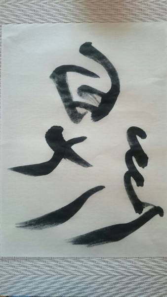 清書用半紙 漢字、調和体に最適 「白龍」「銀閣」_画像3