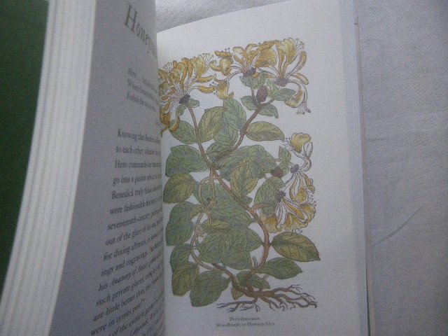  shake s Piaa. flower * plant . foreign book A Shakespearean Botanical Margaret Willesbotanika lure to illustration 