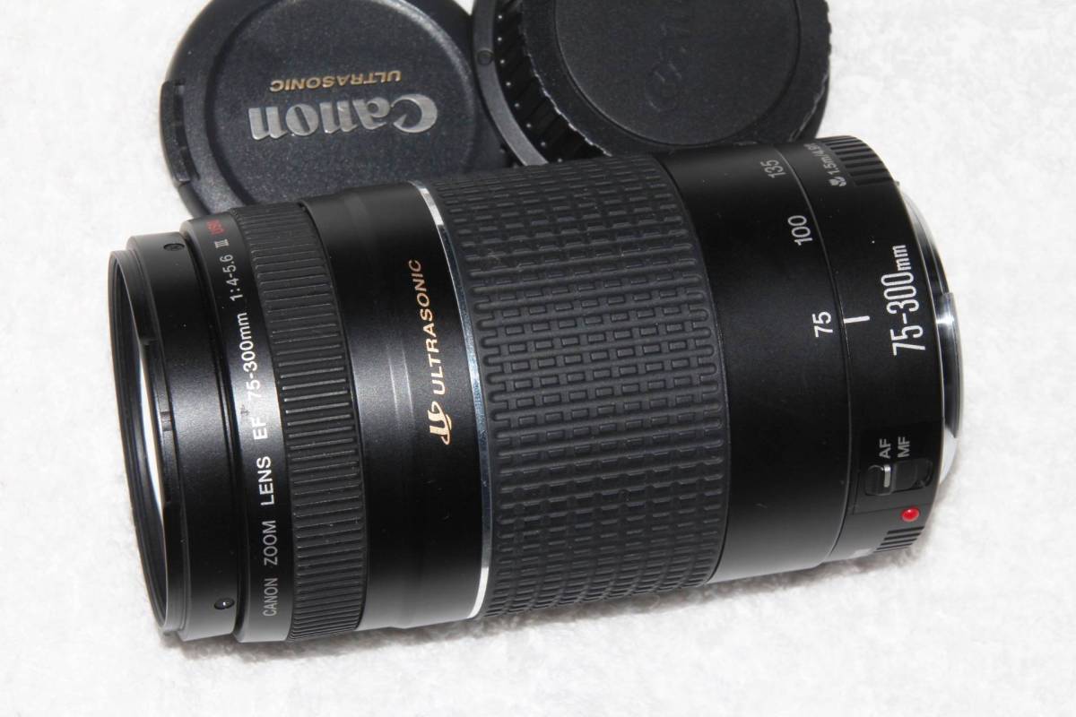 キヤノンCANON EF 75-300mm F4-5.6 III USM (3型）美品－日本代購代Bid