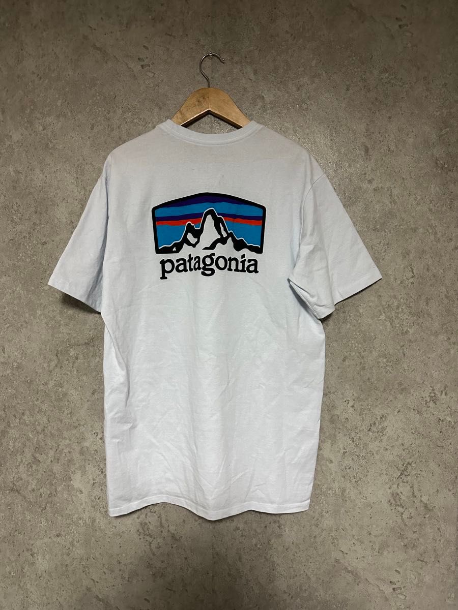 パタゴニア Tシャツ XSサイズ メンズ フィッツロイ ホライゾンズ レスポンシビリティー PATAGONIA 38501 WHI