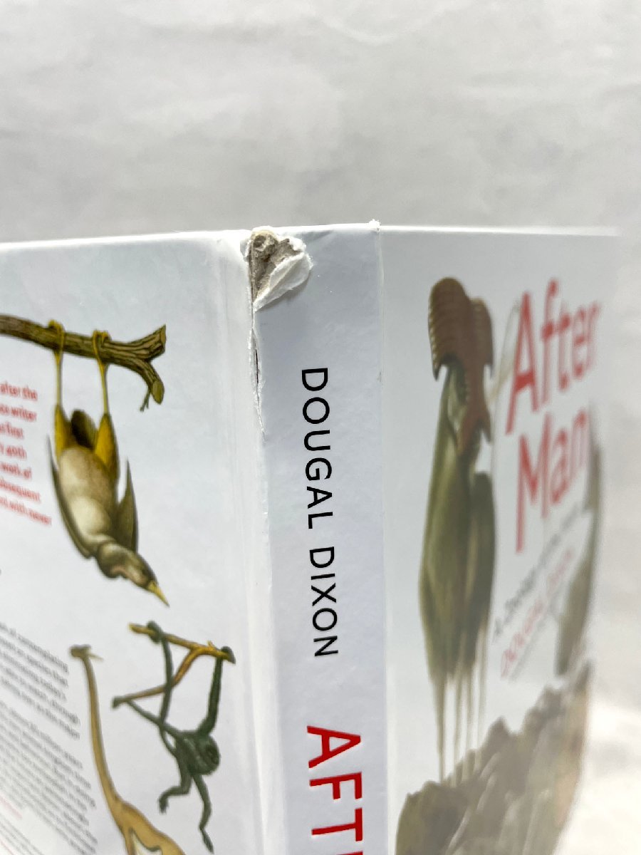 【福岡】洋書 After Man A Zoology of the Futuer◆DOUGAL DIXON◆breakdownpress◆W240 H283 D18◆モデルR展示品◆KO122_Tm_画像3