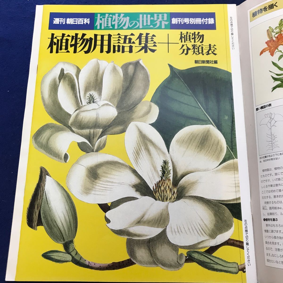 即納特典付き あ34-034 【まとめ】週間朝日百科 植物の世界 全145冊セット 創刊号別冊付録付き