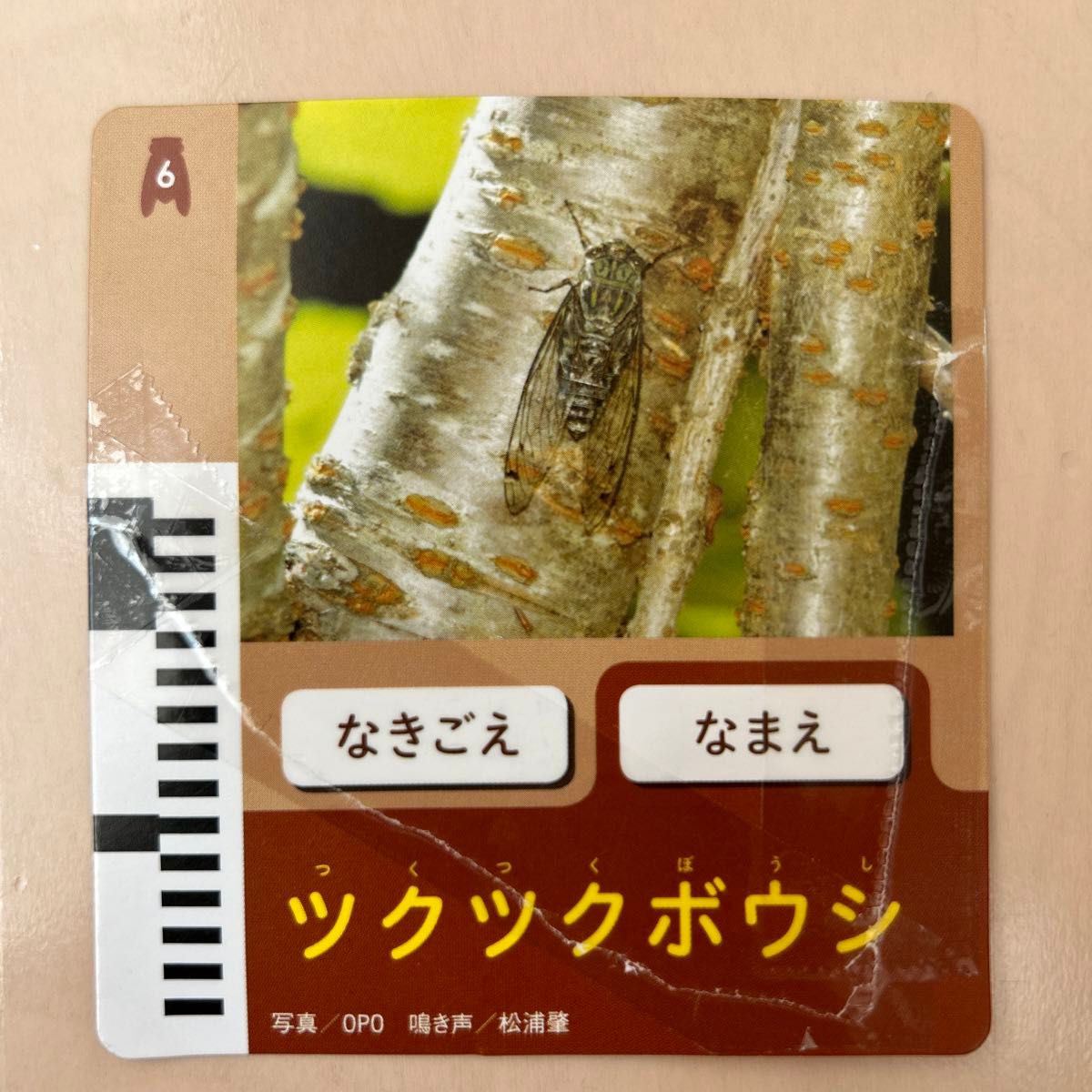 Benesse ベネッセ　しまじろう　なきごえナビ　遊び方付きふしぎ発見絵本8月号　学研たたかえかぶとむし　かがく絵本　3点セット