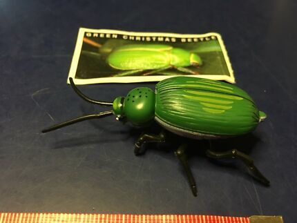 ＹＯＷiＥ ヤウイ Green Christmas beetle / コガネムシ_サンプルです