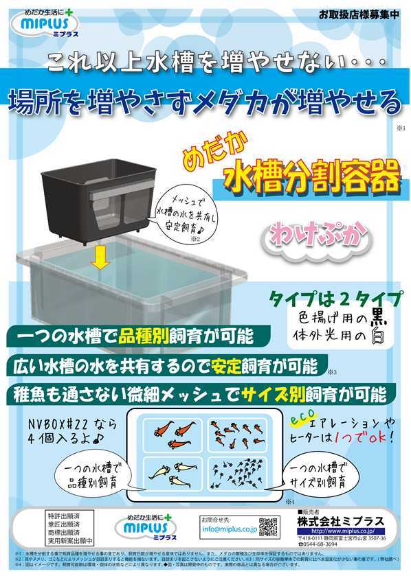 【FUJIYAMAめだか】わけぷか(水槽分割容器)：黒（めだか、メダカ、水槽)の画像2