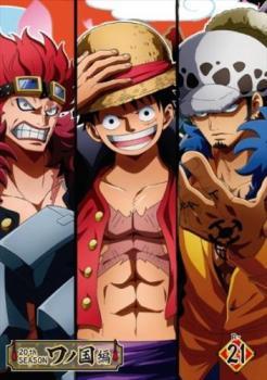 ONE PIECE ワンピース 20thシーズン ワノ国編 R-21(第975話～第978話) レンタル落ち 中古 DVD_画像1