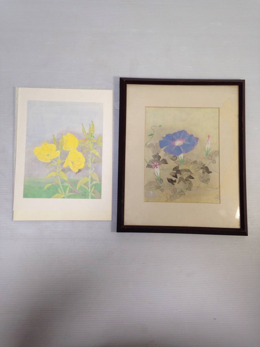 堀文子 画集画 月見草 朝顔 日本画 花 印刷 2枚セット 中古 (H967)_画像1