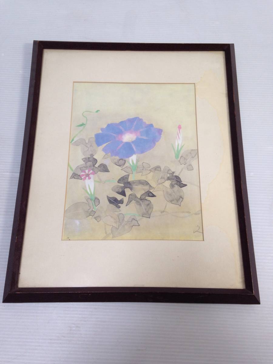 堀文子 画集画 月見草 朝顔 日本画 花 印刷 2枚セット 中古 (H967)_画像2