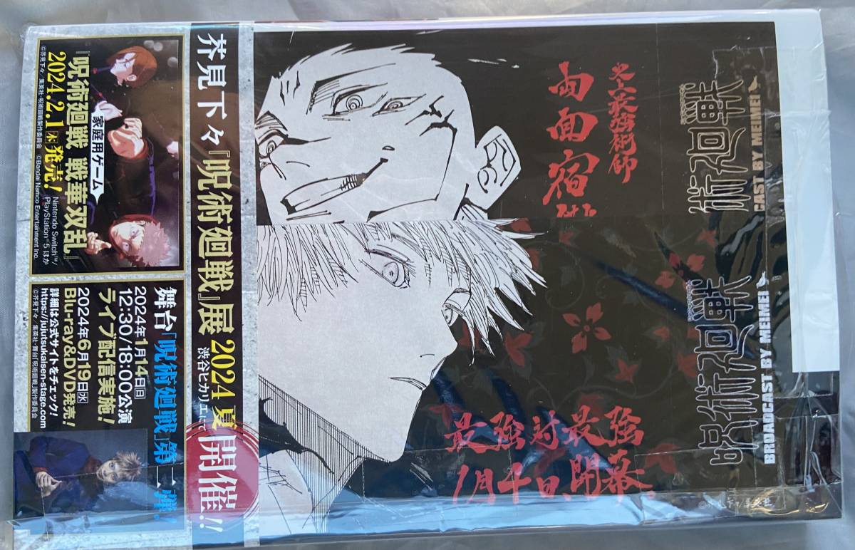 呪術廻戦25巻　特典　五条悟、両面宿儺（各1枚）　チケット風しおり2枚付き　ジャンプのちらし付き_画像3