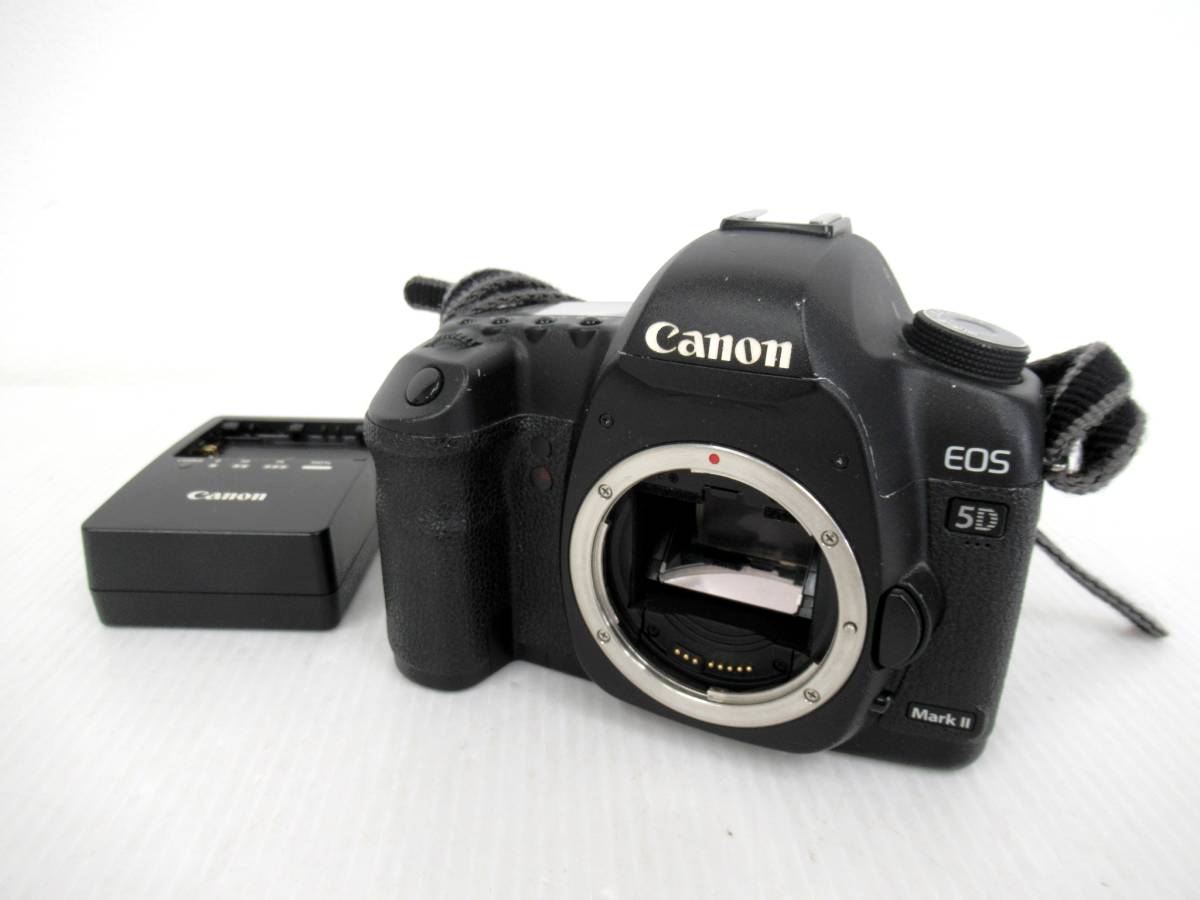 【Canon/キヤノン】子②61//EOS 5D Mark Ⅱ/マーク2_画像1