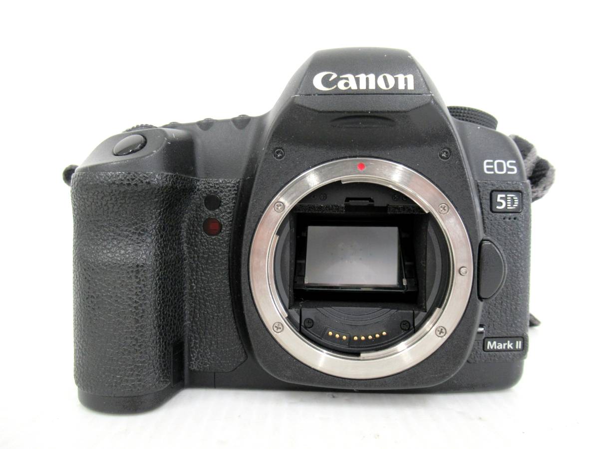 【Canon/キヤノン】子②61//EOS 5D Mark Ⅱ/マーク2_画像2