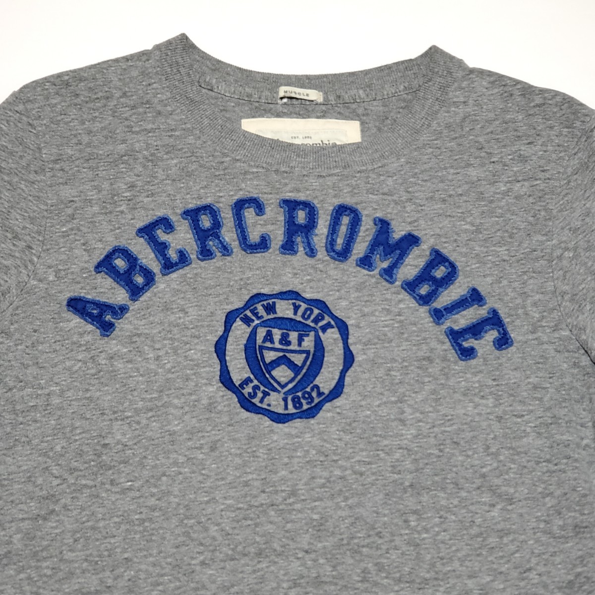 Abercrombie＆Fitch アバクロンビー アンド フィッチ　メンズ 半袖Tシャツ グレー サイズM_画像5