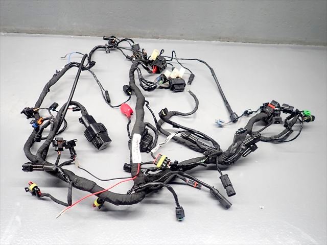 βFA15-1 BMW G310GS WB30G (H29 year ) starting animation have original main harness wiring disconnection less! real movement car remove!