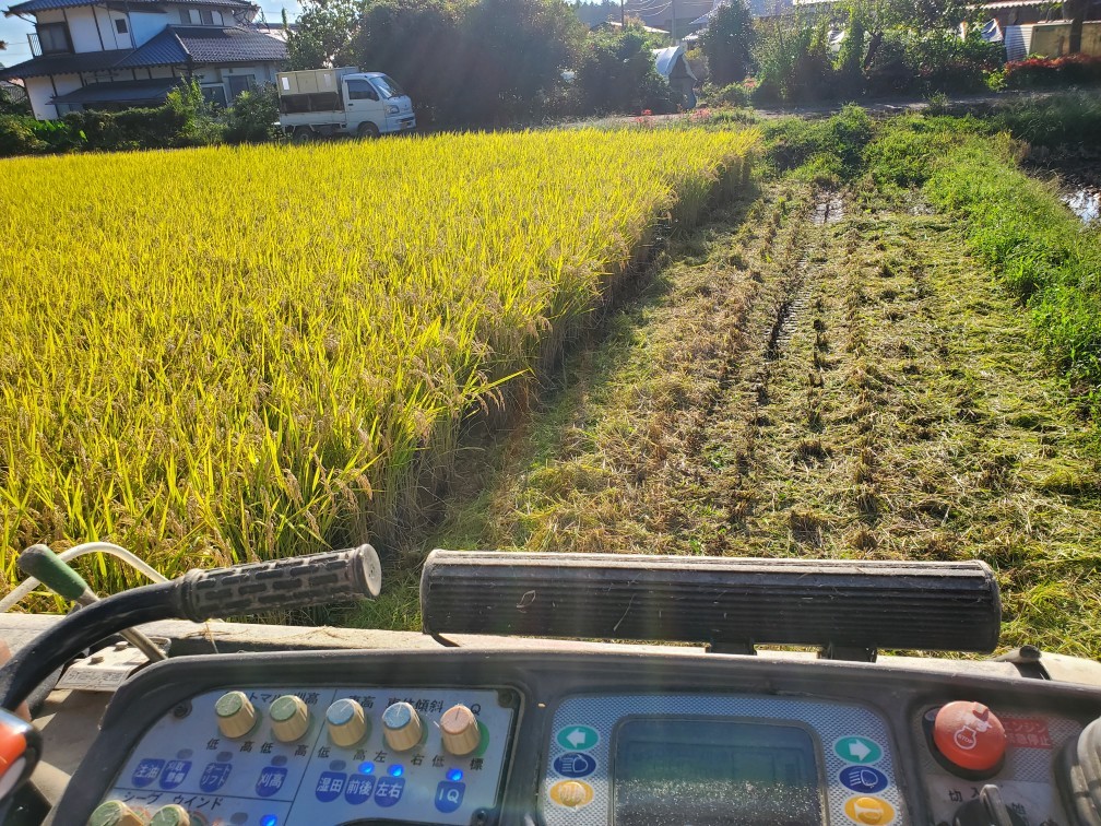 超美味 令和5年産　　大粒　なすひかり　玄米３０Kg　！_この圃場で収穫致しました。