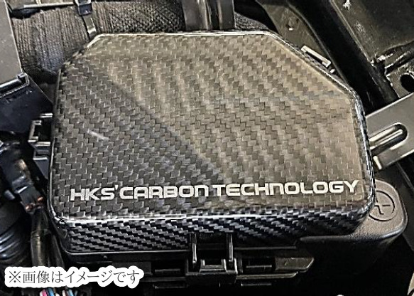 自動車関連業者直送限定 HKS CARBON FUSE BOX COVER カーボンフューズボックス カバー 日産 フェアレディZ RZ34 (70026-AN002)_画像1