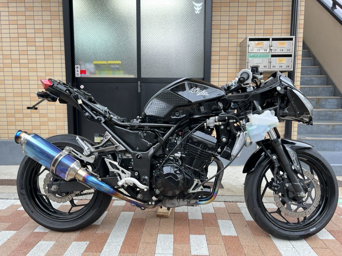 週末限定！21万スタート！売り切り車両！ ニンジャ250 カウルバラし清掃、整備済み車両！9_画像9