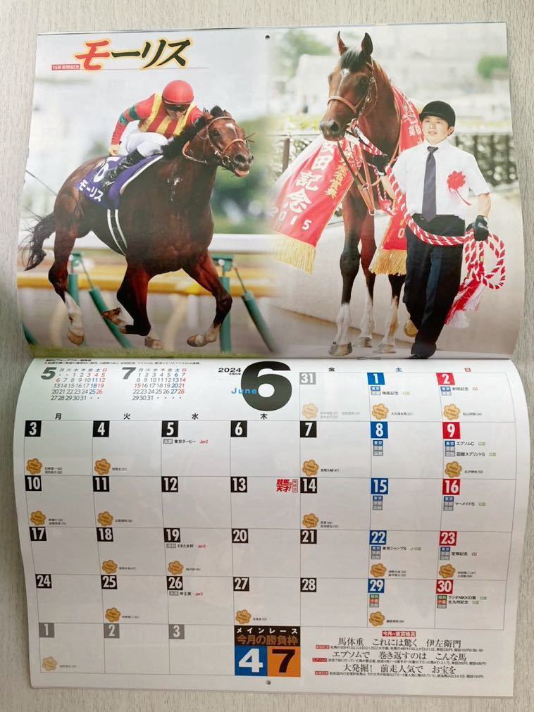 即決★送料込★競馬の天才！Vol.63別冊付録【儲かる競馬金運カレンダー2024壁掛けタイプ W297×H420】2024年1月号 付録のみ匿名配送令和6年