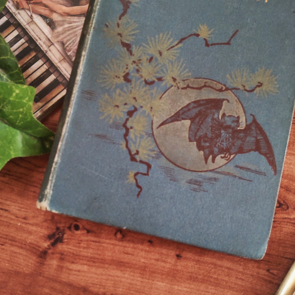 *゜+ 19世紀 珍しいコウモリのイラスト付き表紙 イラスト豊富 英国 アンティークブック ヴィンテージ本 洋書 古書 アンティークの画像3