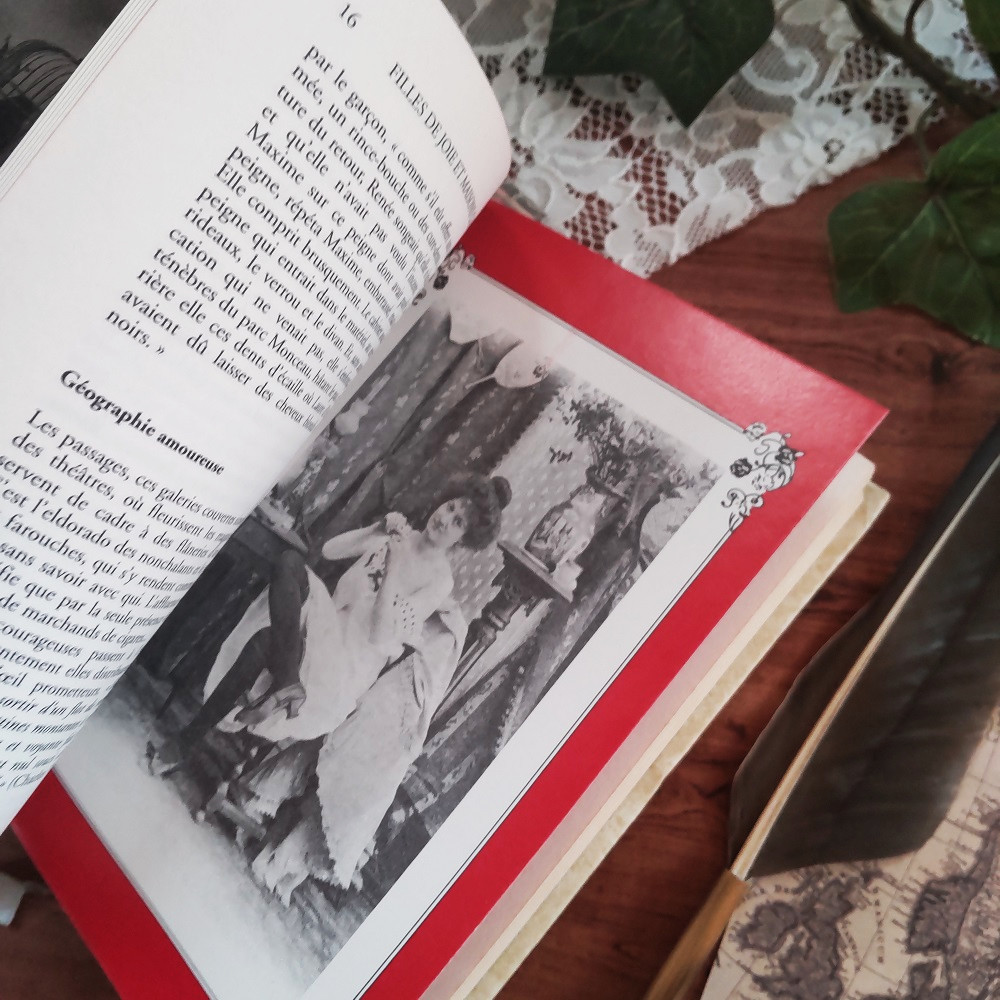 *゜+ 表紙のボタニカルイラストが素敵なヴィンテージ本　フランスの遊女たちの歴史　アンティークブック　ヴィンテージ本　洋書　古書　