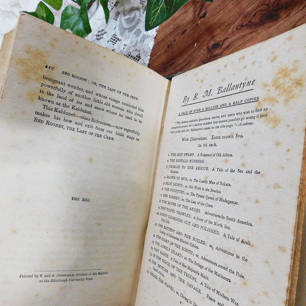 ゜+ 19世紀 洒落た背表紙の古書 英国 アンティークブック ゜+ 19世紀 洒落た背表紙の古書 英国 アンティークブック