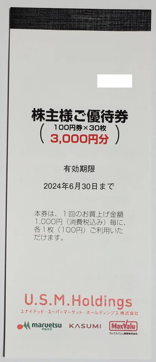 ユナイテッド・スーパーマーケット株主優待券 3,000円分（100円×30枚） 2024年6末 マルエツ カスミ マックスバリュ関東_画像1