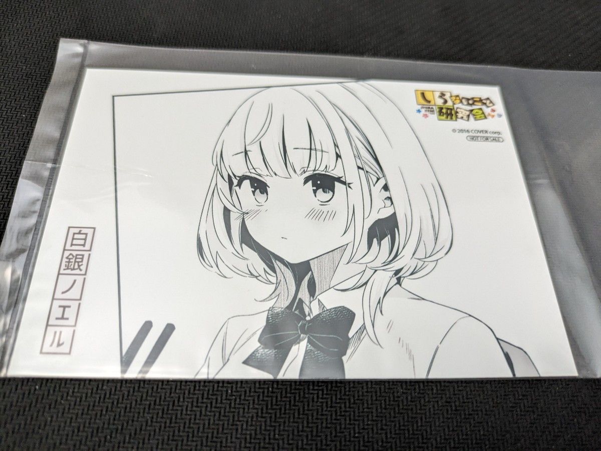 週刊少年チャンピオン 付録のみ しらないこと研究会 アニメイト