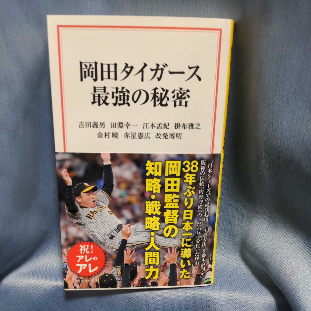  hill rice field Tiger s strongest secret "Treasure Island" company new book obi attaching 