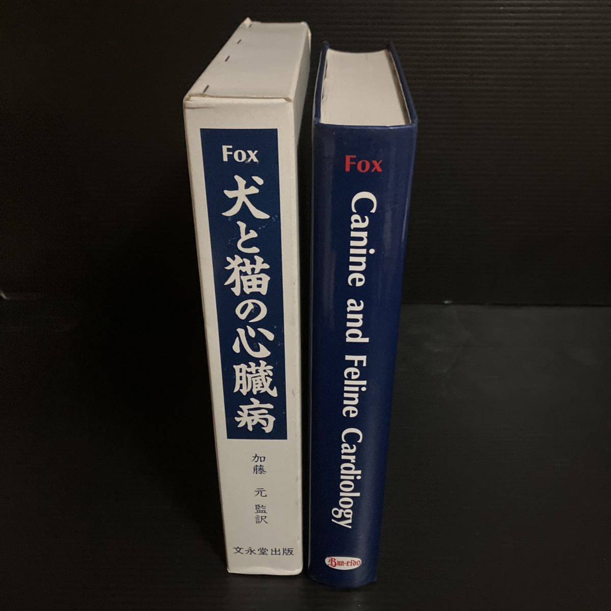 値下げ交渉可 絶版・希少本 加藤元 犬と猫の心臓病 - 生物学 値下げ交渉可 絶版・希少本 加藤元 犬と猫の心臓病 - 生物学