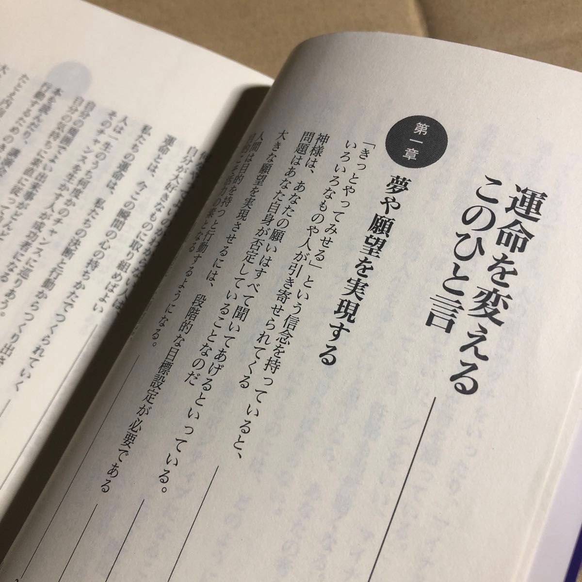 運命を変える成功法則１１１のヒント　心の力を引き出す２週間、１日８つの「いい話」 （成美文庫） 植西聡／著