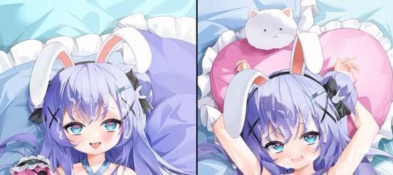  regular goods new goods cat .. order is ...??. manner ..chino Dakimakura cover production egg version 