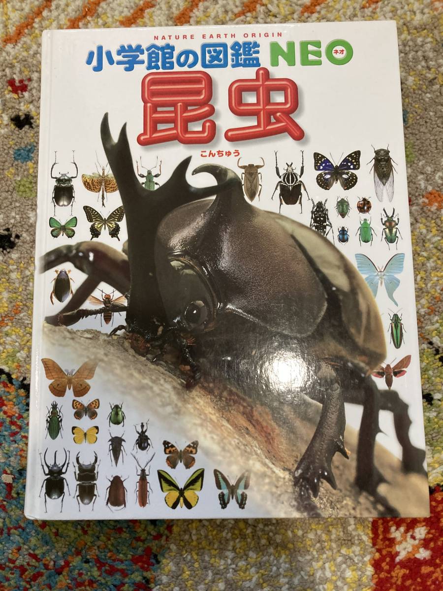  Shogakukan Inc.. illustrated reference book NEO insect 