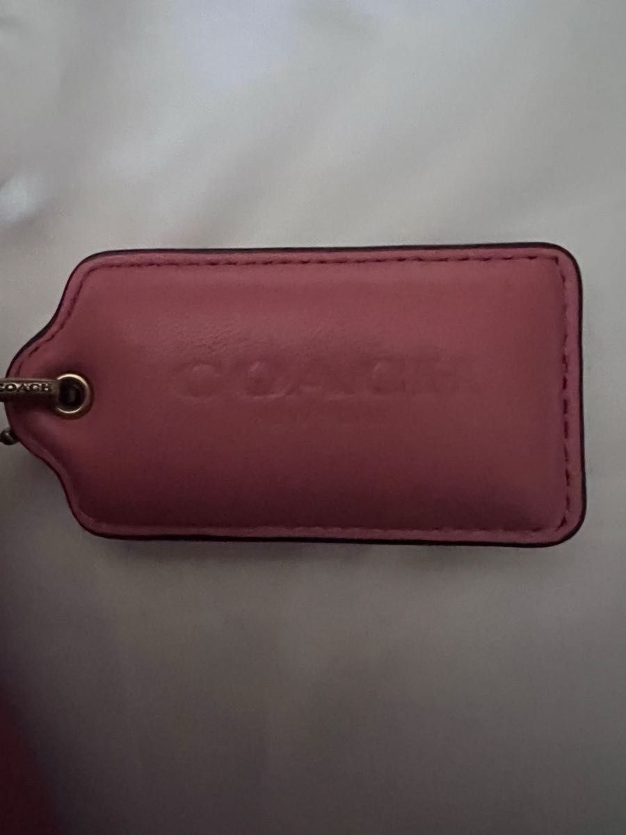 ピロータビーショルダー  coach 　国内購入　新品未使用品　3way仕様　ジョッパー袋あり　ハンドバッグ　人気商品