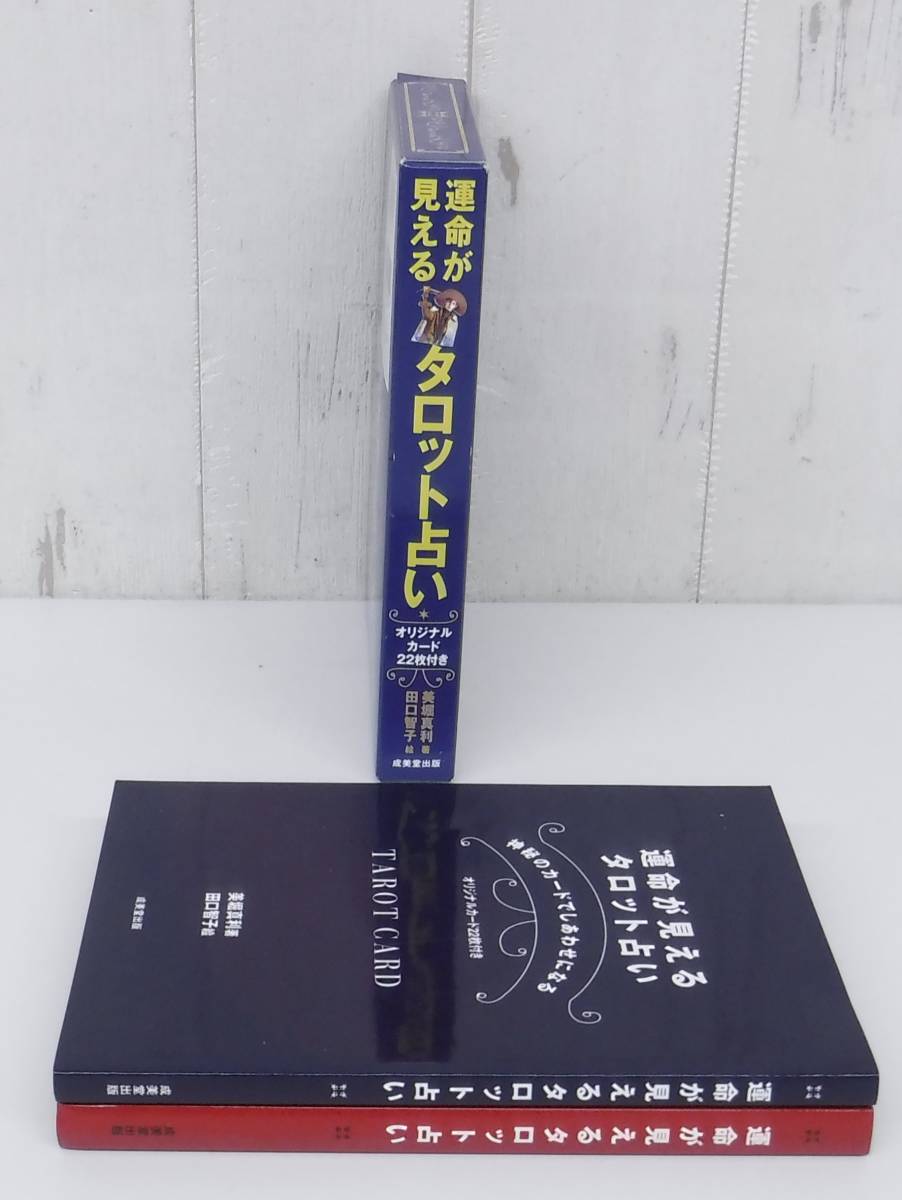 タロットカード 本＊成美堂出版 運命が見えるタロット占い 神秘のカードでしあわせになる＊著者 美堀 真利 イラスト 田口 智子＊欠品なし_画像5