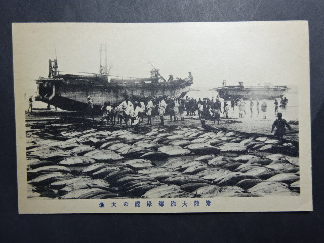 戦前古絵葉書◆6-43 常陸大洗海岸 鰹の大漁 画像参照。_画像1