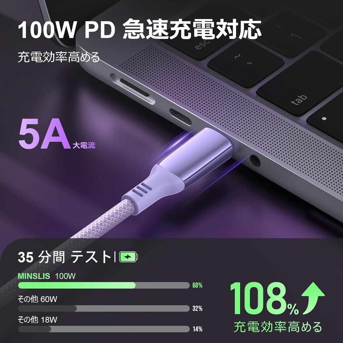 USB Type C ケーブル 100W/5A PD対応 急速充電 ナイロン編み パープル 1m 2本セット