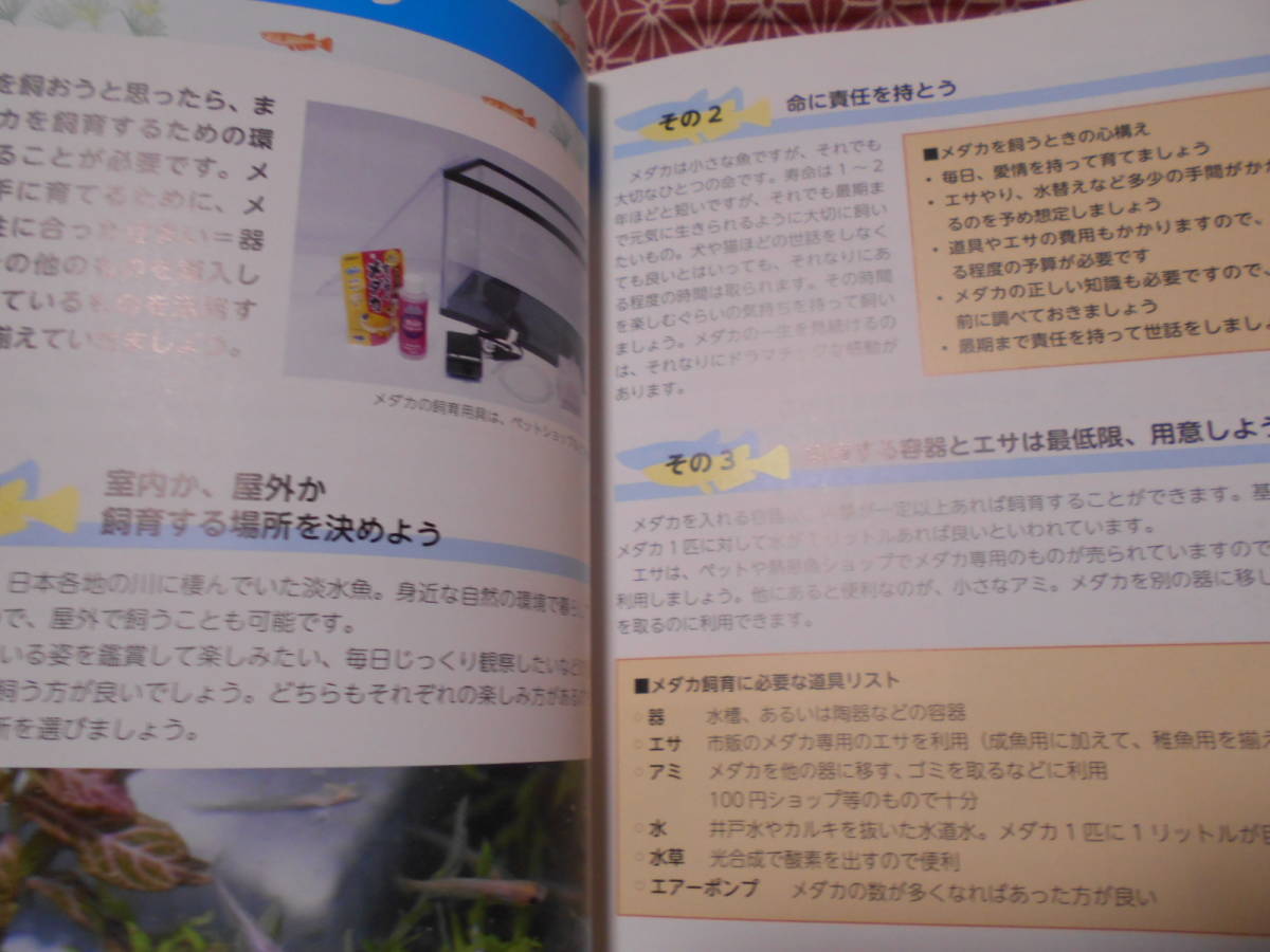 ★専門店が教える メダカの飼い方 改訂版 失敗しない繁殖術から魅せるレイアウト法まで (コツがわかる本!)亀田養魚場 (監修)★_画像4