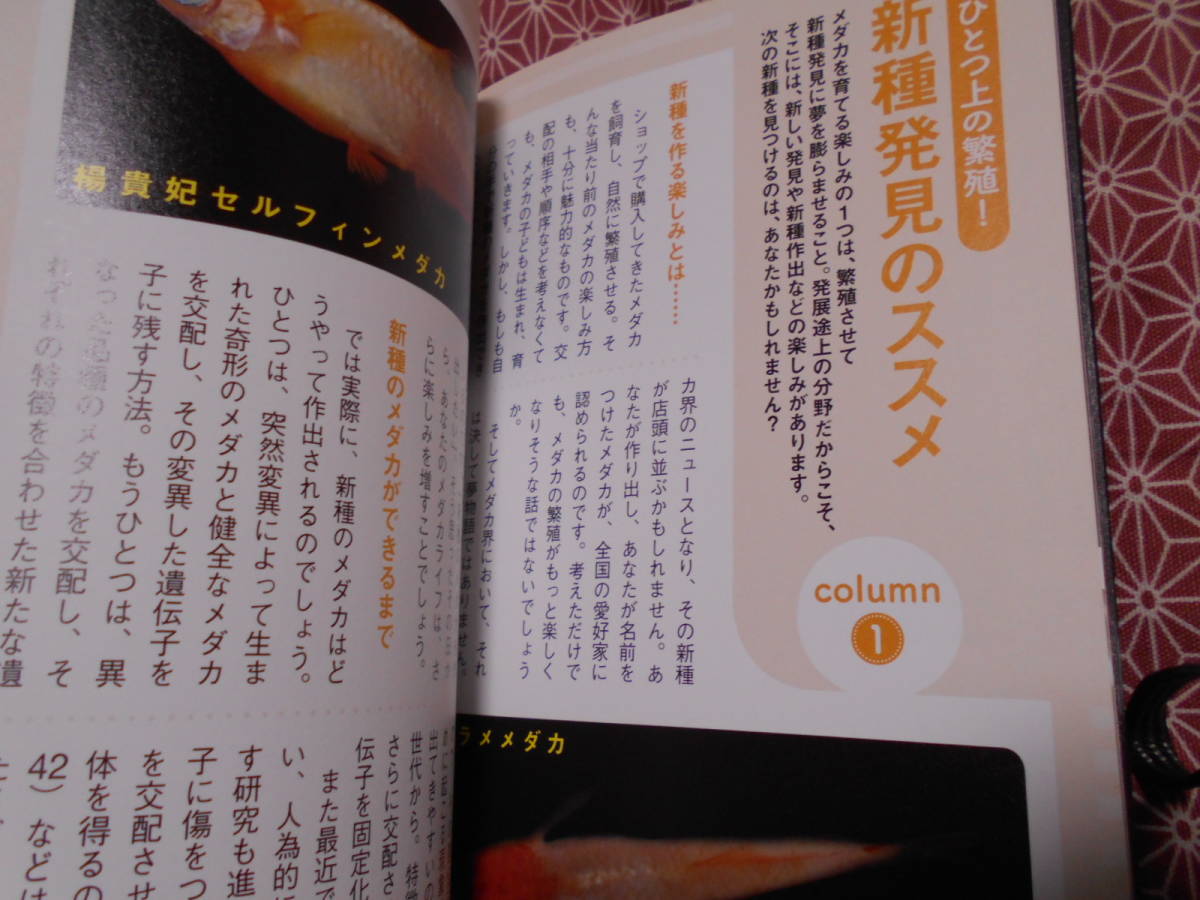 ★日本一のブリーダーが教えるメダカの育て方と繁殖術　青木崇浩(監修)★健康できれいな新種メダカを育てる秘密交配テクニックを_画像7