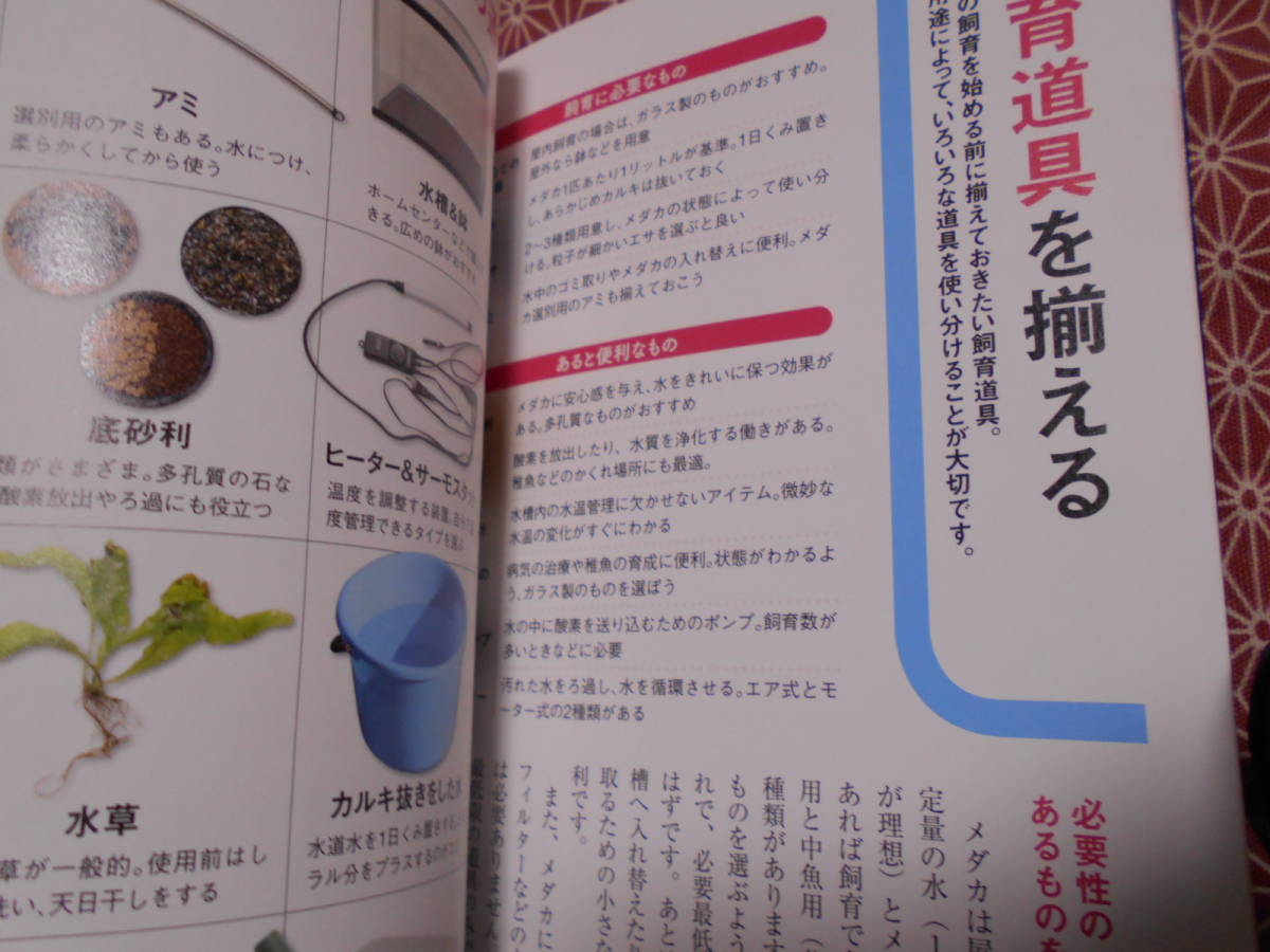 ★日本一のブリーダーが教えるメダカの育て方と繁殖術　青木崇浩(監修)★健康できれいな新種メダカを育てる秘密交配テクニックを_画像8