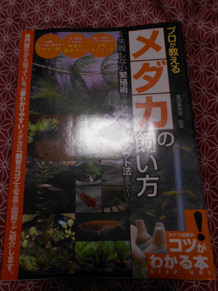 * speciality shop . explain me Dakar. .. person modified . version failure not doing breeding . from can charm layout law till (kotsu. understand book@!) turtle rice field . fish place (..)*