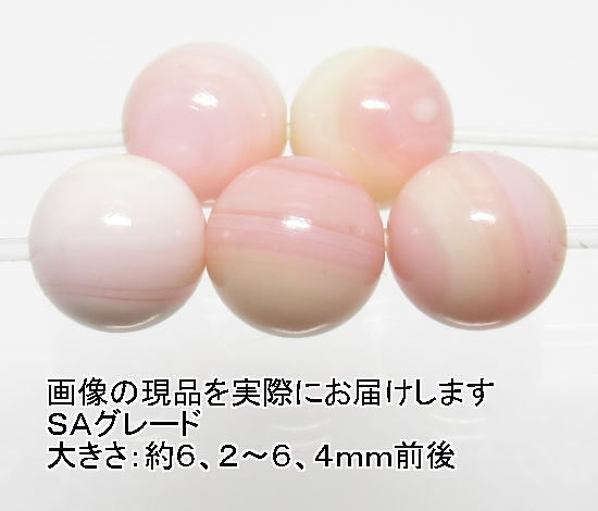 NO.6 クイーンコンクシェルＳＡ 6mm(5粒入り)＜お守り＞色目がキレイ 天然石現品_画像1