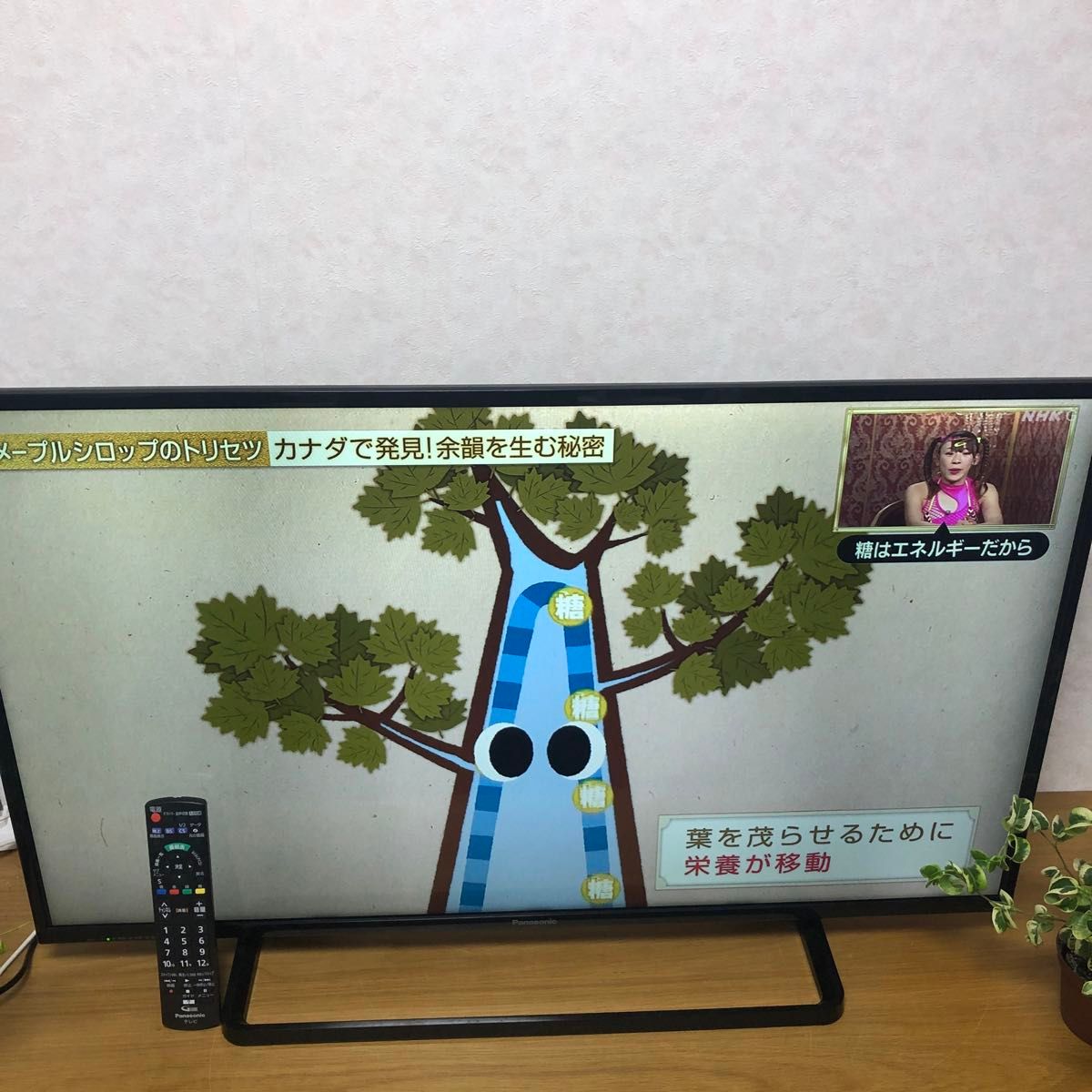 ー送料無料ーPanasonic 液晶テレビ TH-39A305 39V型 家電|Yahoo ー送料無料ーPanasonic 液晶テレビ TH-39A305 39V型 家電|Yahoo