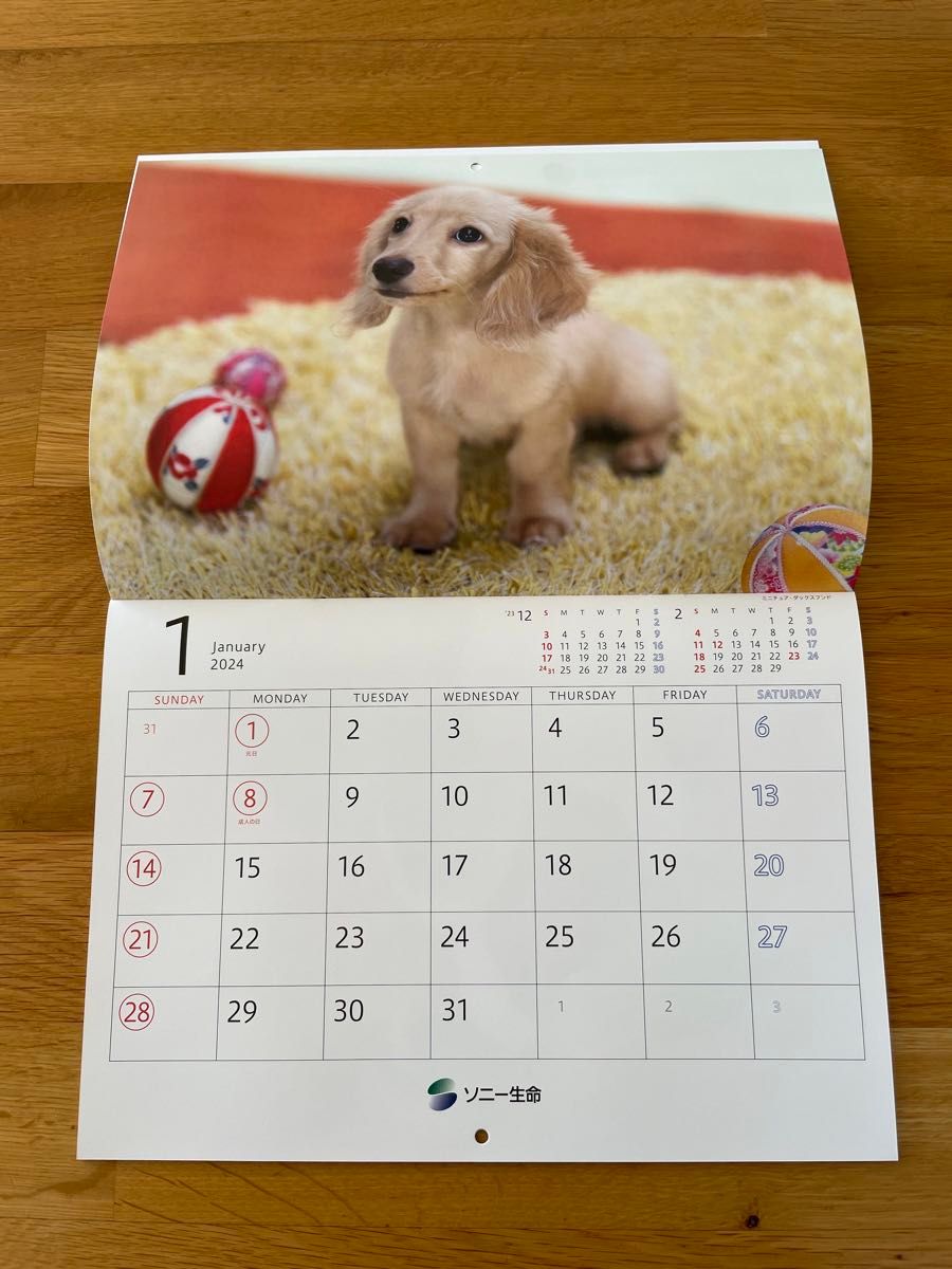 ゆかいな子犬たち ソニー生命 2024 カレンダー