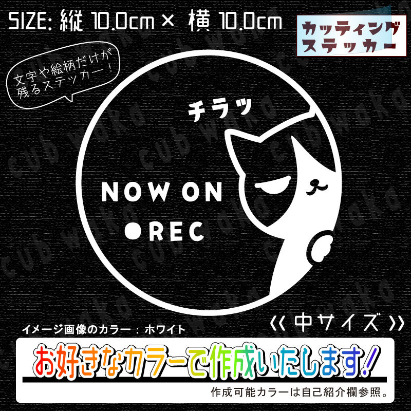 ドラレコ録画中②猫2ハチワレステッカー　文字絵柄だけ残るカッティングステッカー・カブ・車・バイク・二輪・トラック・リアガラス・ねこ_画像1