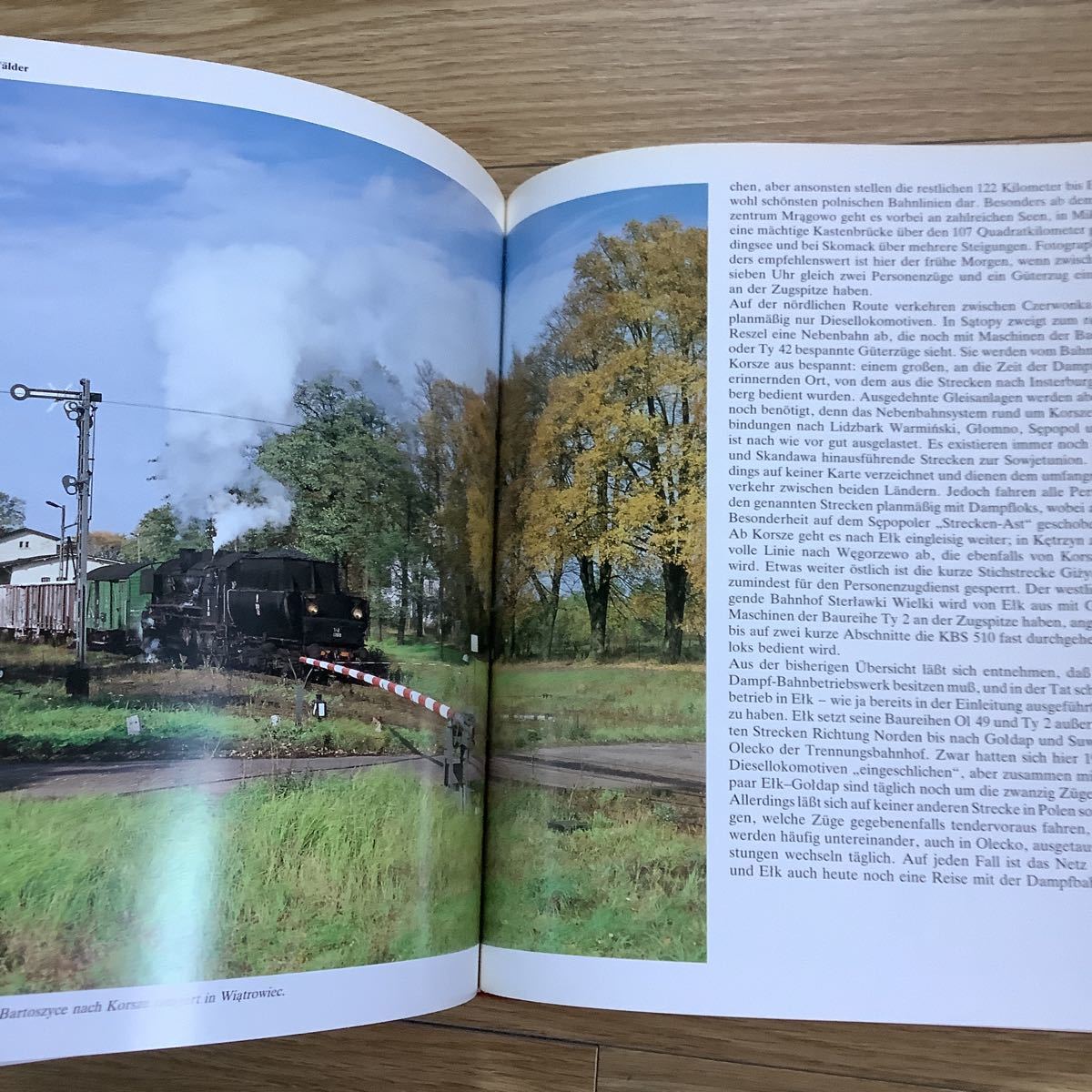 《S3》ドイツ洋書　ポーランドの蒸気機関車　Dampfbahnen in Polen_画像7