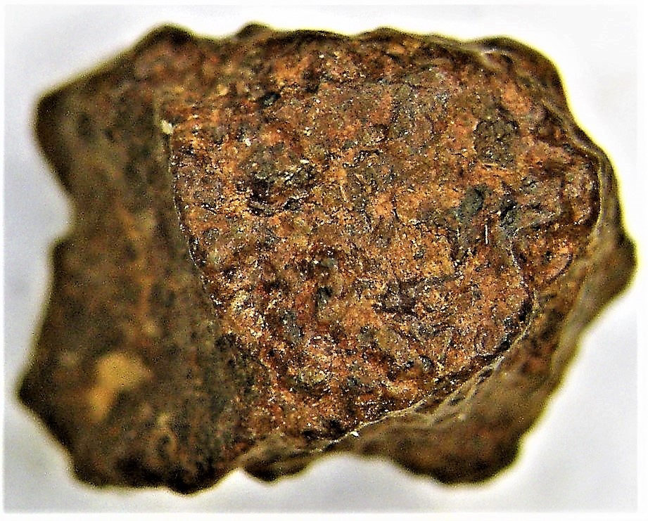46億年前の隕石コンドライト（ｂ）_画像4